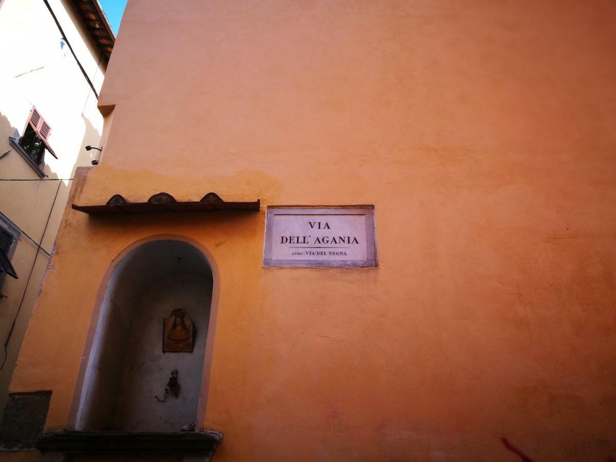 La Casina Dell'Agania Διαμέρισμα Αρέτσο Εξωτερικό φωτογραφία